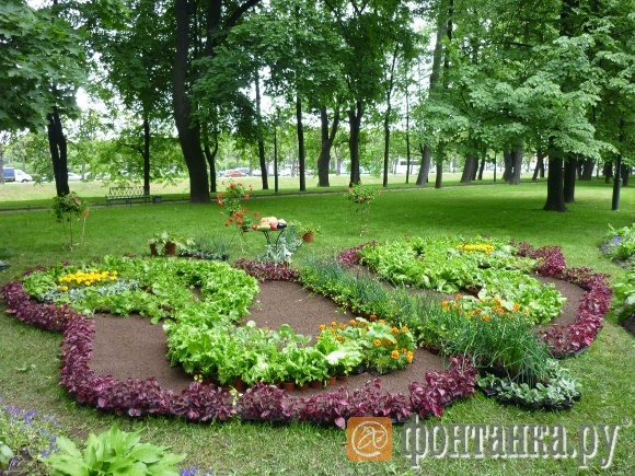 "Кухонный садик". ООО "РОСЭКО" и Аграрный университет (СПб)
